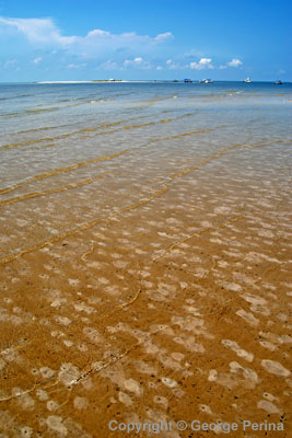 Cat Island Beach