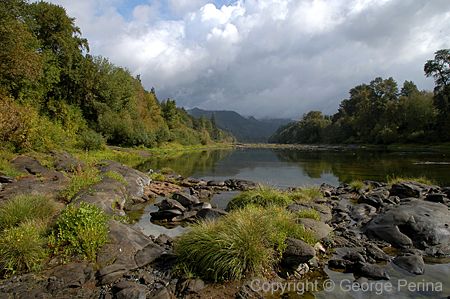 Silent Waters