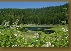 Fort Bragg Pond