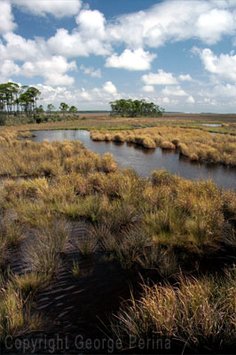 Applewhite Causeway