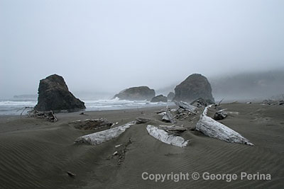 Driftwood Fog