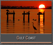 Gulf Coast Gallery