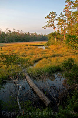 Gulf Island National Seahore