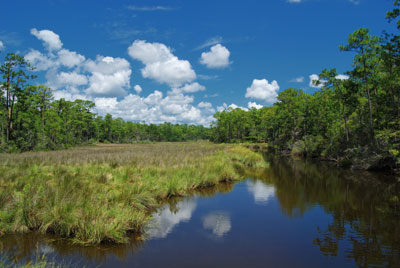 Hanshaw Causeway