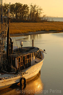 Golden Years Ocean Springs Harbor