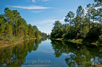 Sandhill Crane Refuge