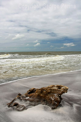 Ship Island Driftwood