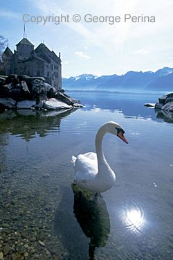 Chateau Montreux Switzerland