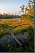 Gulf Island Seashore