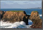 Mendocino Coast