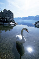 Chateaux Montreux