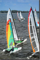 Regatta