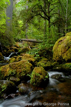 Watson Falls Oregon